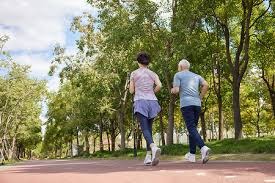 迪马：罗马、那不勒斯、布莱顿有意波尔图19岁中场弗罗霍尔特